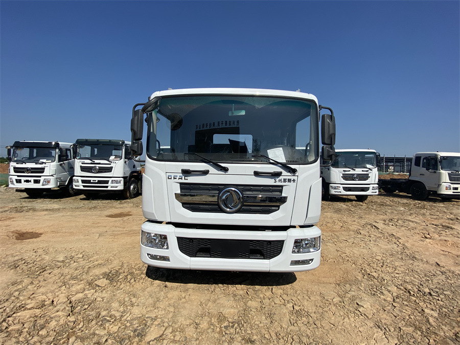 東風(fēng)D9（3950，玉柴165）國(guó)六 內(nèi)飾照片圖